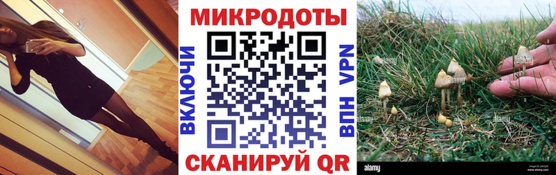 наркота  ссылка на мегу ССЫЛКА  Галлюциногенные грибы Cubensis  Алатырь 