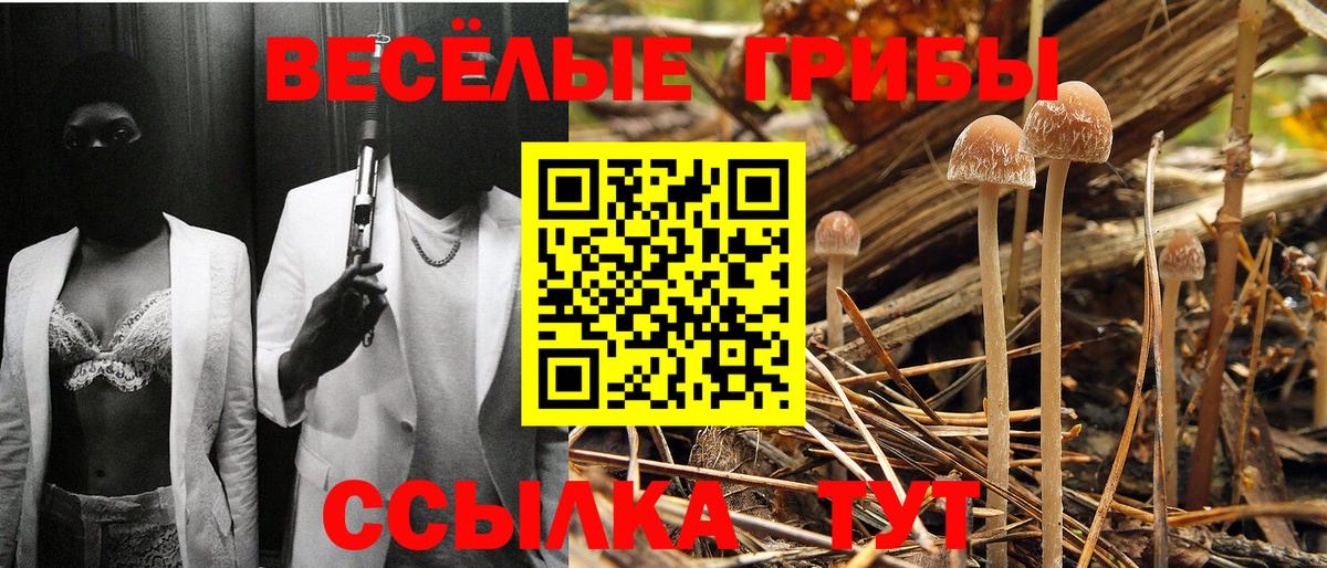Псилоцибиновые грибы мухоморы  Псилоцибиновые грибы GOLDEN TEACHER  Вход с VPN  Алатырь 