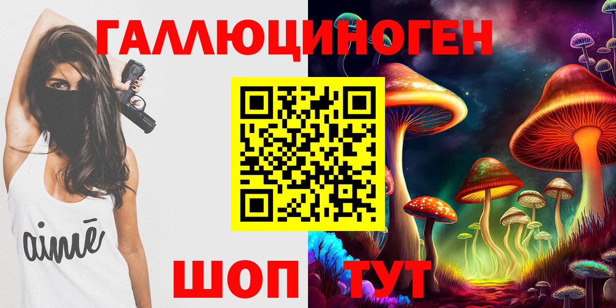 Алатырь  Галлюциногенные грибы Psilocybe  Вход с VPN 
