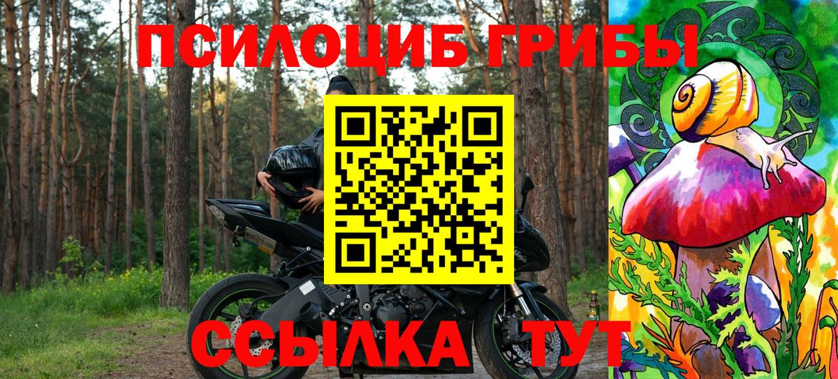 Псилоцибиновые грибы ЛСД Алатырь