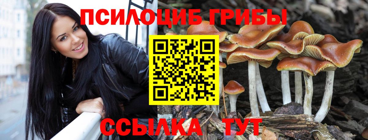 Псилоцибиновые грибы ЛСД Алатырь